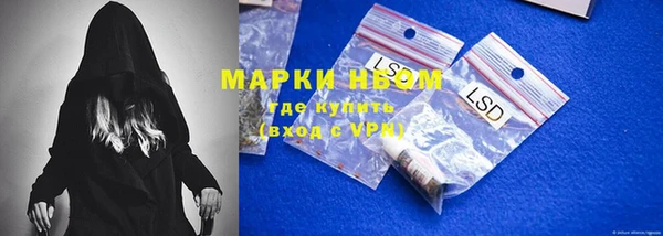 гидра Володарск