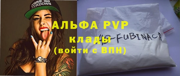 гидра Володарск