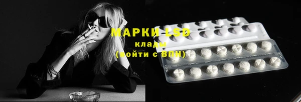 гидра Володарск