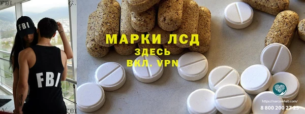 гидра Володарск