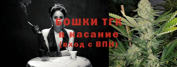 гидра Володарск