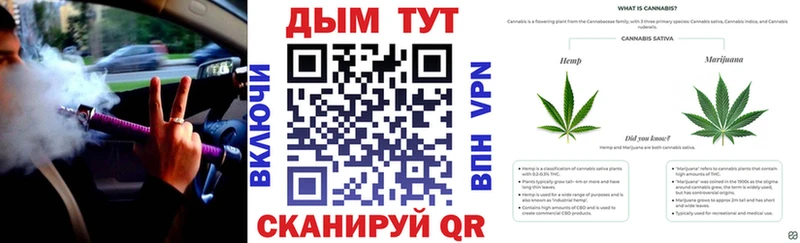 Бошки марихуана конопля  Купить  Кодинск 